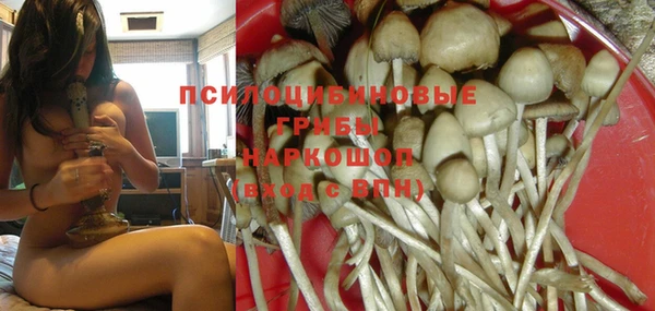 соль ск Сафоново