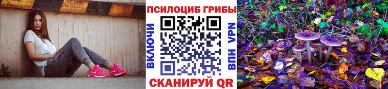 Купить  Киренск  Галлюциногенные грибы мицелий 